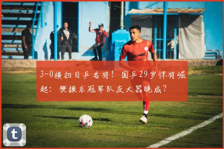 3-0横扫日乒名将！国乒29岁悍将崛起：樊振东冠军队友大器晚成？