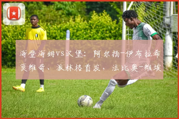 海登海姆vs汉堡：阿尔扬-伊布拉希莫维奇、派林格首发，法比奥-维埃拉、洛孔加出战