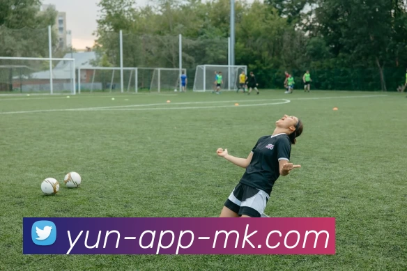 MK体育平台生态图