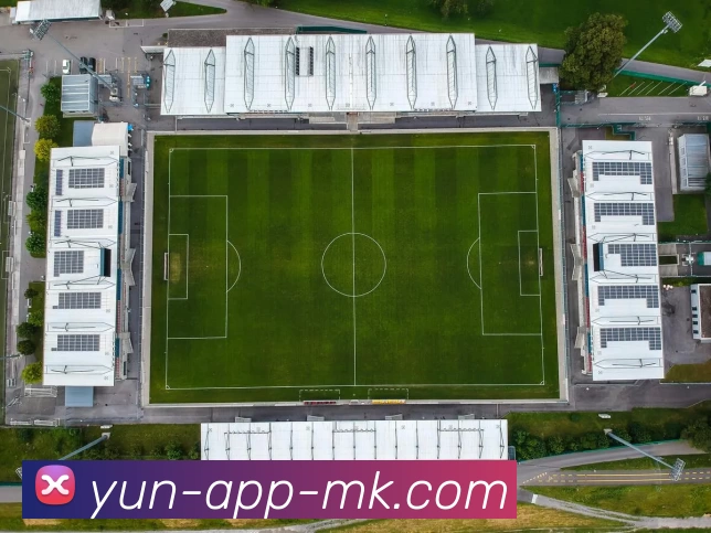 MK体育APP 封面图